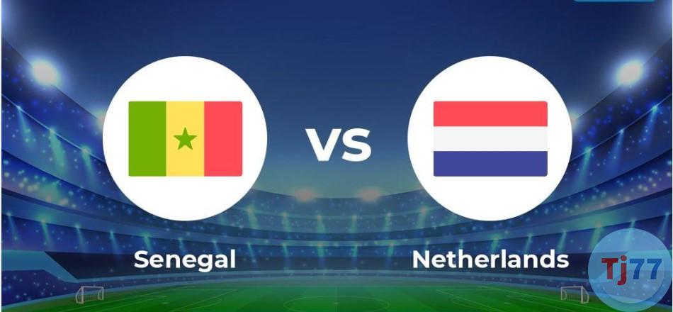 Soi kèo Senegal vs Hà Lan