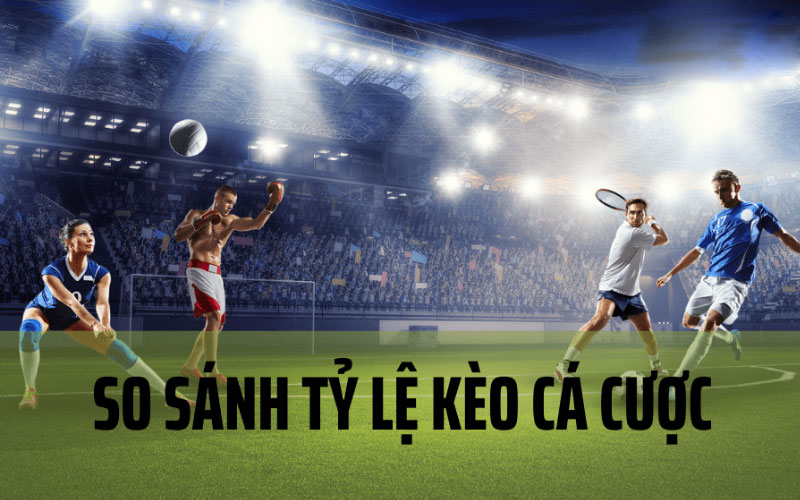 Làm thế nào để tỷ lệ cược so sánh?