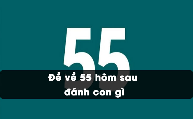 Đề 55 Hôm sau gõ gì