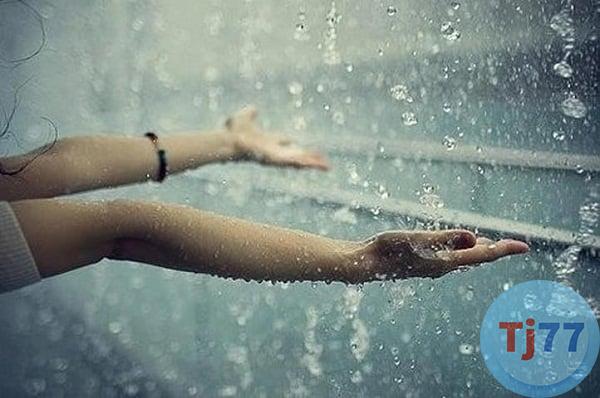 Nằm mơ thấy mưa